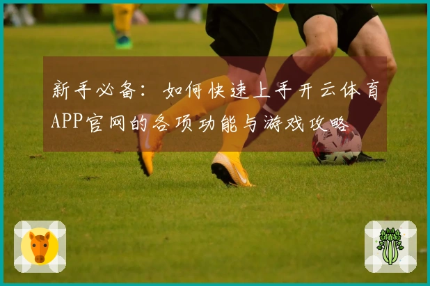 新手必备：如何快速上手开云体育APP官网的各项功能与游戏攻略